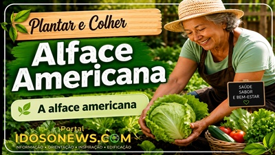 Alface Americana