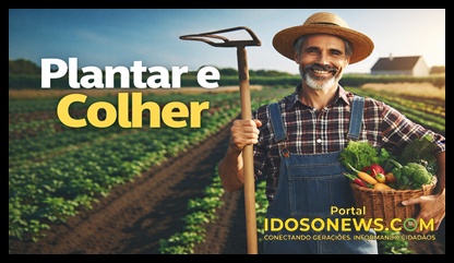 Tomilho: pequeno no tamanho, grande em benefícios