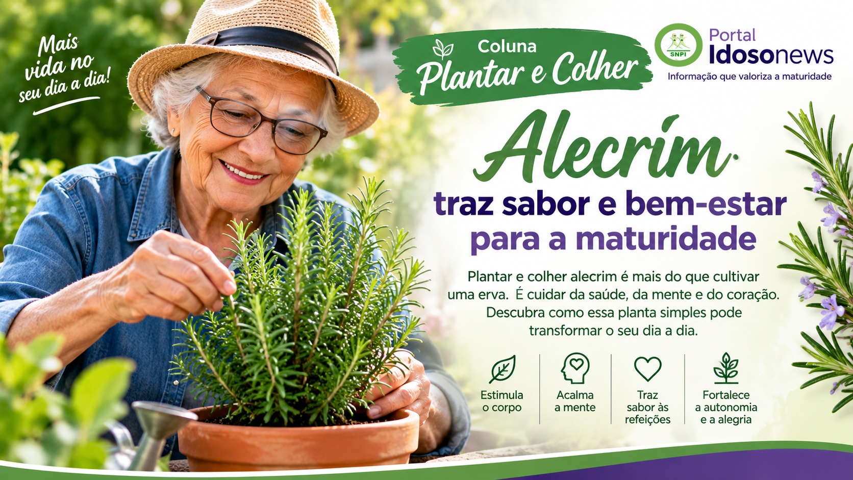 Plantar e colher: alecrim traz sabor e bem-estar